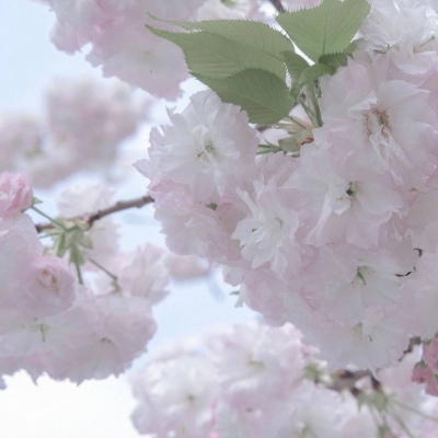 兽设配饰设计灵感合集福瑞交流群